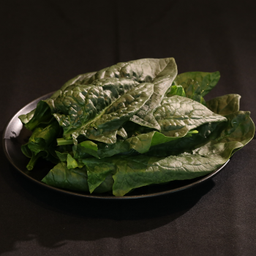 ป๋วยเล้ง