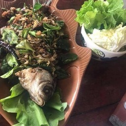 ลาบปลาตะเพียน