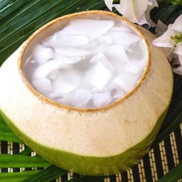 วุ้นมะพร้าว