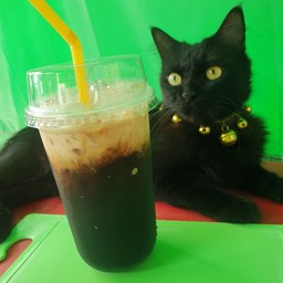 เมนูกาแฟ