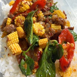 ผัดพริกแกงเนื้อติดมันใส่ข้าวโพดอ่อนราดข้าว