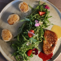 Foie gras with scallop pan seared