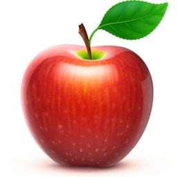 MENU_2765796rw_1717594831