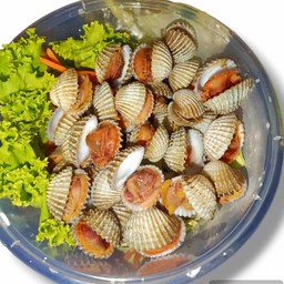 หอยแครงลวก ฟรี!!น้ำจิ้มซีฟู๊ต