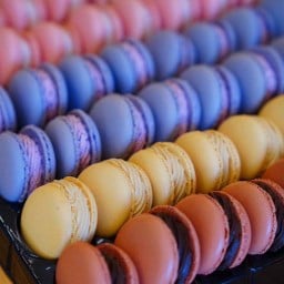 มาการอง