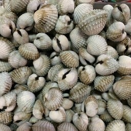 นั่งแช่หอย-ร้อยเอ็ด