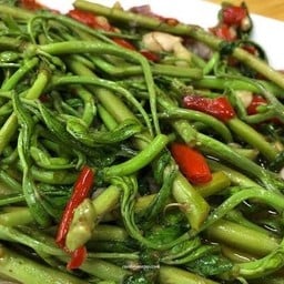 ผัดกระเฉดน้ำมันหอย