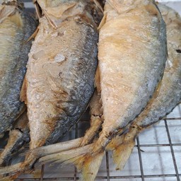 ปลาทูทอด