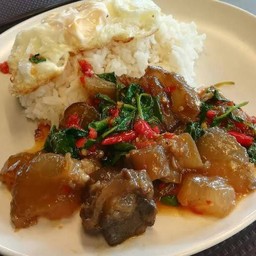 กะเพราเนื้อตุ๋น,เอ็นตุ๋นราดข้าว
