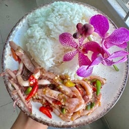 หมึกผัดพริกขี้หนูราดข้าว