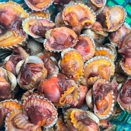 หอยแครงแกะ