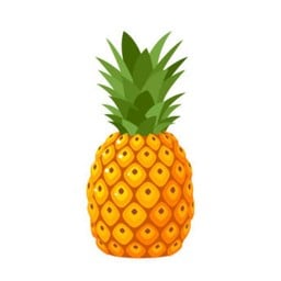 MENU_2765796rw_1717594729