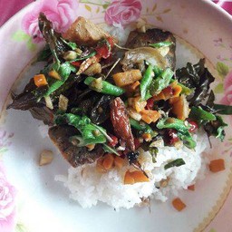 กระเพาไข่เยี้ยวม้าราดข้าวมังสวิรัติ