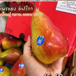 ลูกแพร อัฟริกา