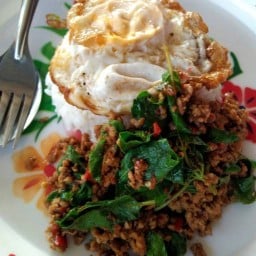 ครัวน้องอุ้ม ( กระเพรากากหมู )
