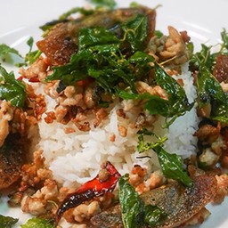 กระเพราไข่เยี้ยวม้าราดข้าว