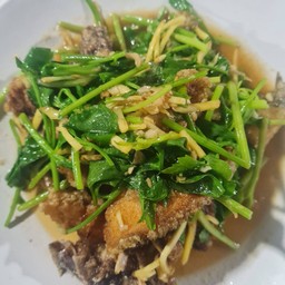 ปลาม้าผัดใบตั้งโอ๋