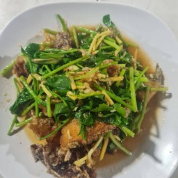 ปลาช่อนผัดใบตั้งโอ๋
