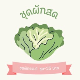 ชุดผักสด