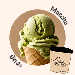 มัทฉะ (ไพน์)