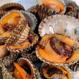 หอยเเครงใหญ่(500กรัม)