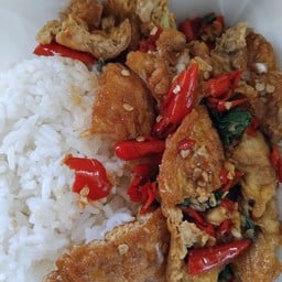 ข้าวกระเพราไข่เจียว