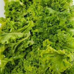 เพิ่มผักกาดหอมล้วน