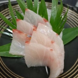 ปลาชิมาอะจิ ซาซิมิ (Shima-aji Sashimi)
