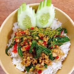 ข้าวกระเพราหมูสับ