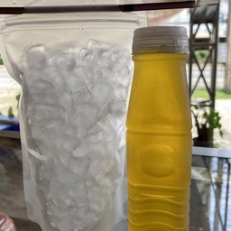 เก๊กฮวย