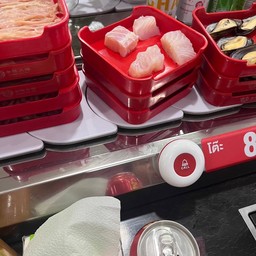 ปลา-ดอลลี่