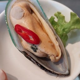 หอยแมลงภู่