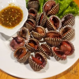 หอยแครงลวก