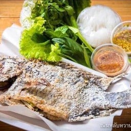 ร้านข้าว กะเพรา ไข่ข้น หมี่ไก่ฉีก