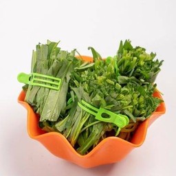 ผักบุ้ง