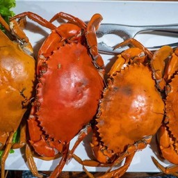 ปูไข่นึ่ง4/5ตัวโล500กรัม