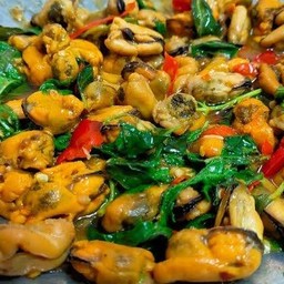 ผัดกะเพราหอยแมลงภู่ ราดข้าว