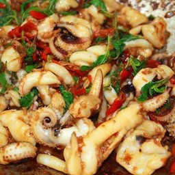 ผัดกะเพราปลาหมึก ราดข้าว