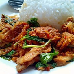 ผัดใบโหระพาราดข้าว