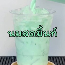 นมสดมิ้นท์