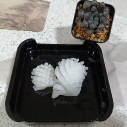 ชาบู วันว่าง (อรุณทองหลังริม)