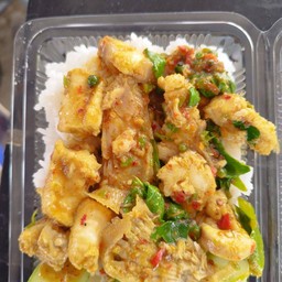 ผัดฉ่าปลาฉลามเป็นกับข้าว