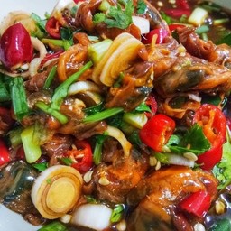 ยำหอยดอง