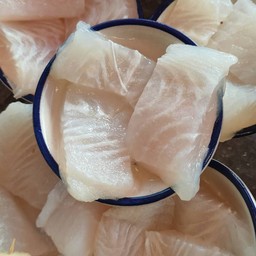 ปลาดอลลี่