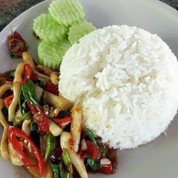 ข้าวกระเพราปลาหมึกสาย