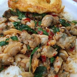 กะเพราหอยลายราดข้าว