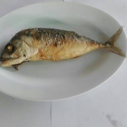 Hi หรอยแรง ข้าวแกงใต้