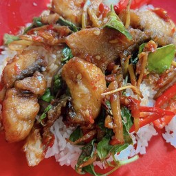 ผัดพริกแกงปลากระพง ( เป็นกับข้าว )