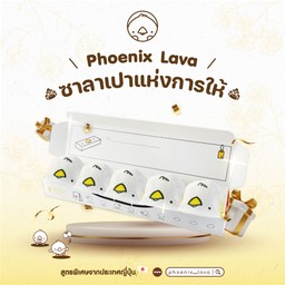 Lava Box Set (ซาลาเปา 5 ชิ้น)