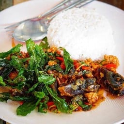 ข้าวกระเพราหมูสับไข่เยี่ยวม้า